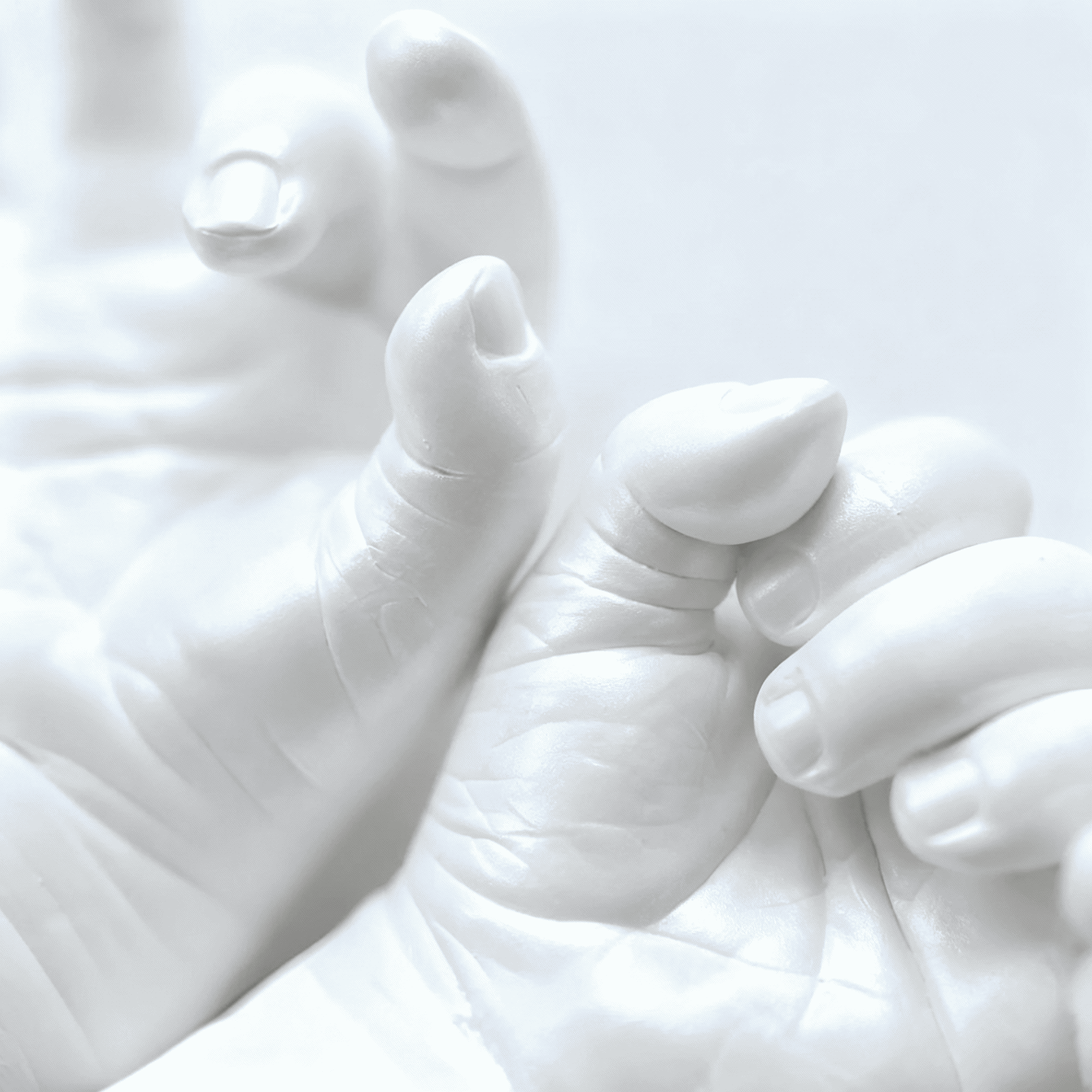 Forever Baby | 0 - 12 Meses